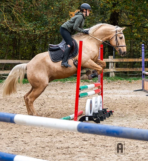 Jeune sportive équestre - Acadomia et FFE - photo tous droits réservés