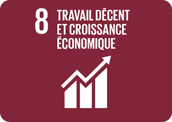 Objectif de développement durable 8 : travail décent et croissance économique