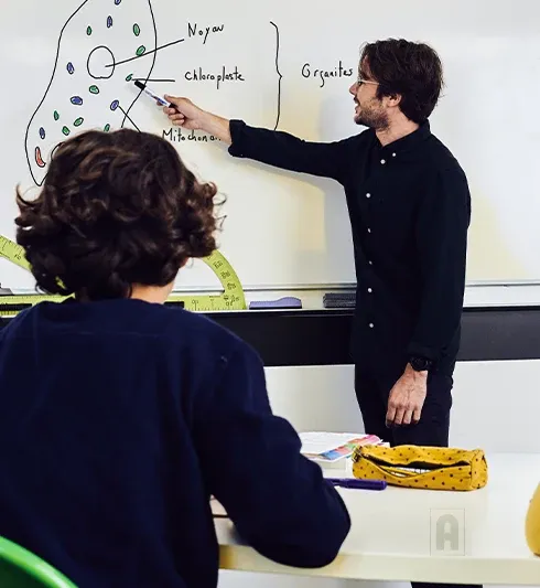 Cours collectif de biologie avec un enseignant Acadomia - photo tous droits réservés