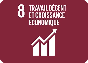 Objectif de développement durable 8 : travail décent et croissance économique